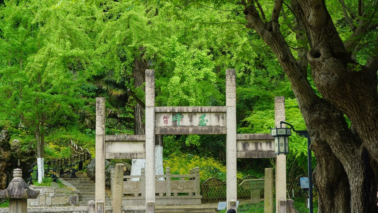 夏風(fēng)中，有“獨屬于夏日”的生氣4.jpg