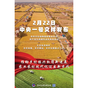 權(quán)威快報丨2022年中央一號文件提出推動鄉(xiāng)村振興取得新進展