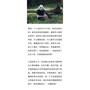 不計較，才是真正的愛自己