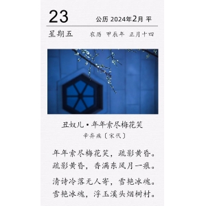  辛棄疾《丑奴兒 · 年年索盡梅花笑》