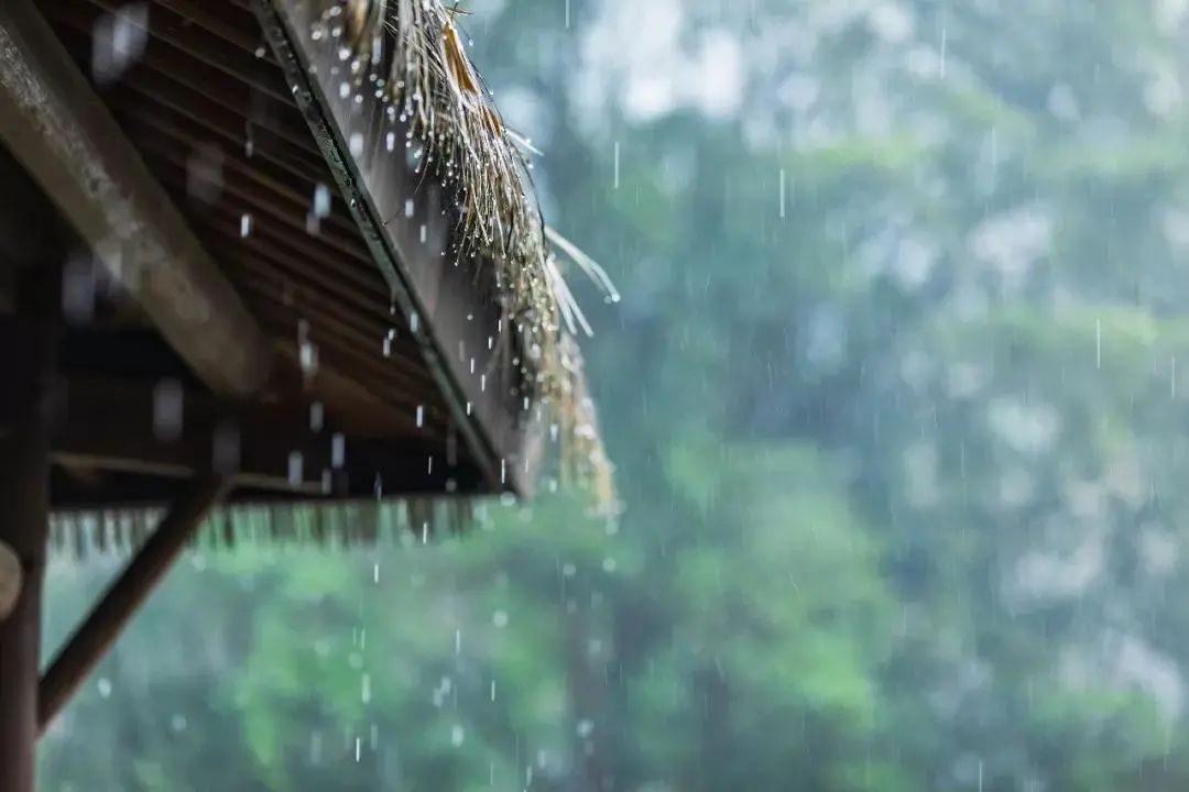 聽(tīng)雨聞香，再喝一壺不求解渴的酒.jpg